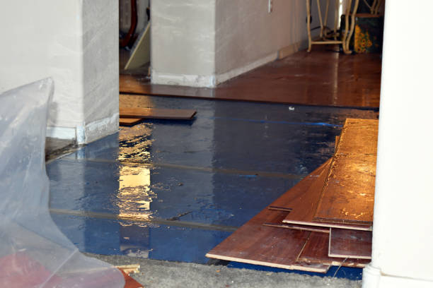 Professional Water Damage Restoration technician working in Hanover, MA